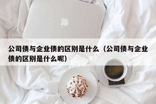 公司债与企业债的区别是什么（公司债与企业债的区别是什么呢）